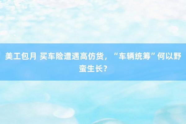 美工包月 买车险遭遇高仿货，“车辆统筹”何以野蛮生长？